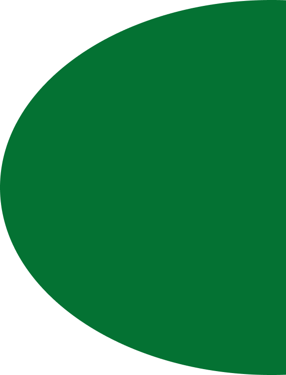 ellipse 4
